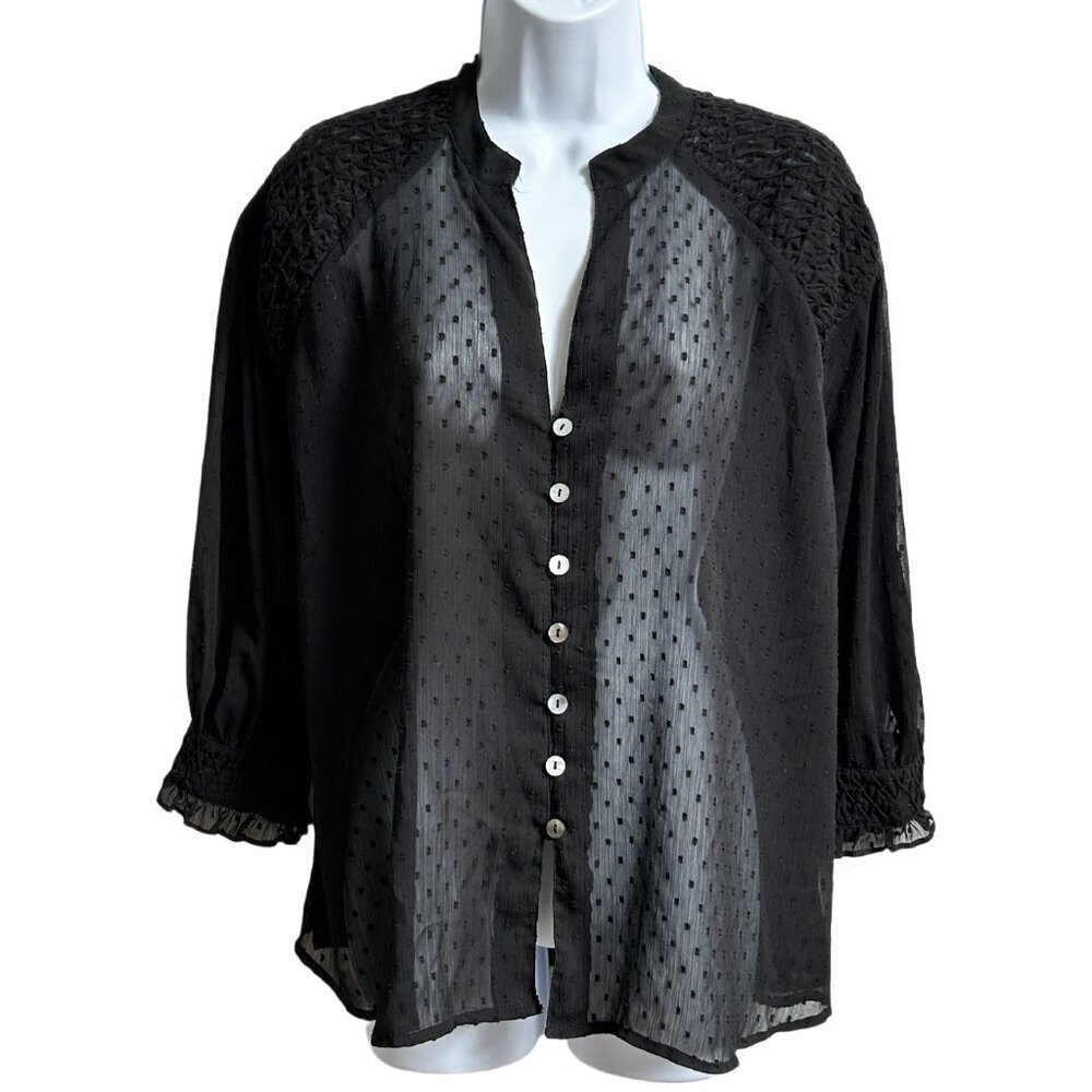 ✨3 for $18✨ Zara Black Sheer Blouse with Embroidery Detail
